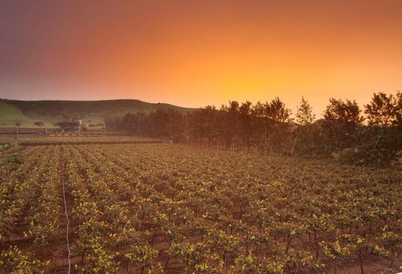 Gp Hotels And Resorts