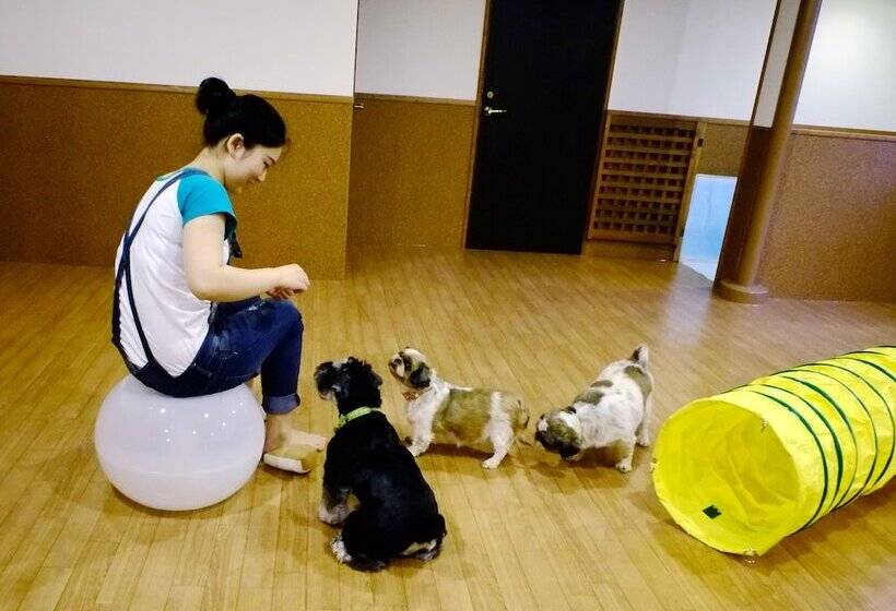 日式旅馆 Koyokan Wanpakutei