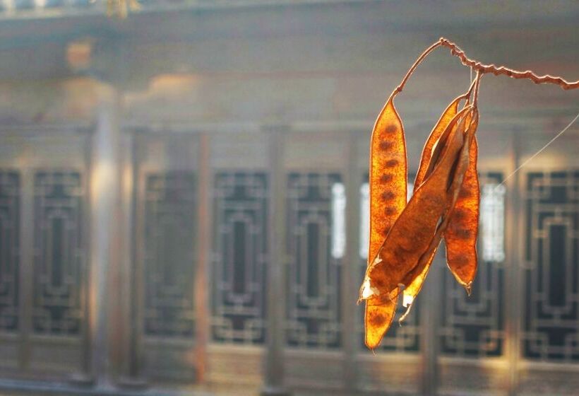 Yijie Holiday Hotel Taierzhuang Old Town