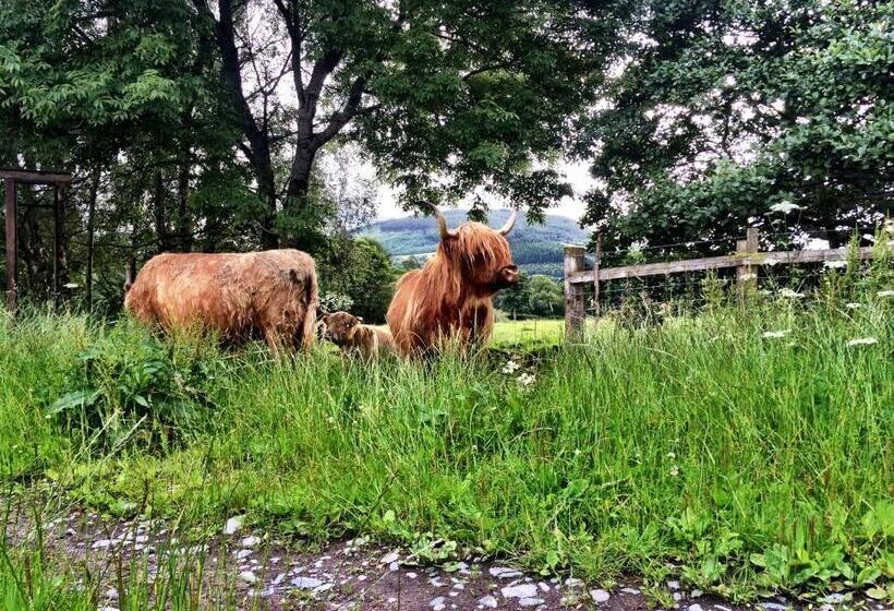 Drumbuie Farm B&b