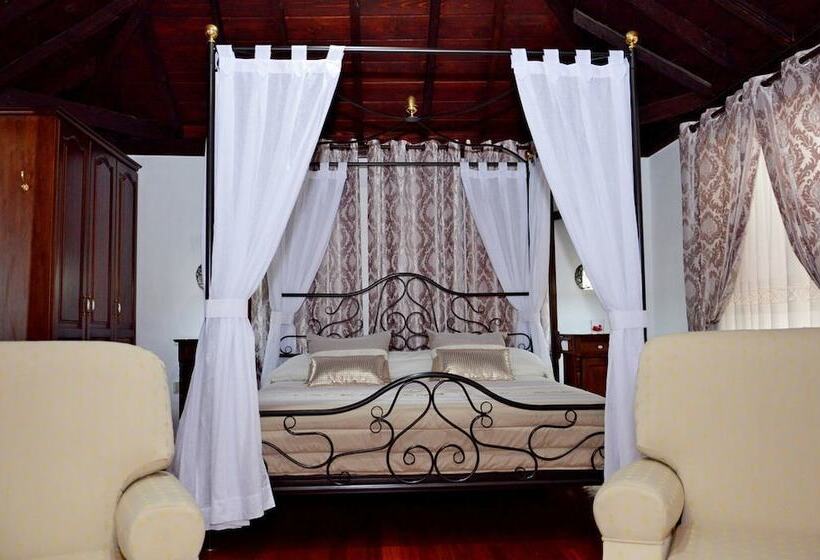 ホテル Drago San Antonio