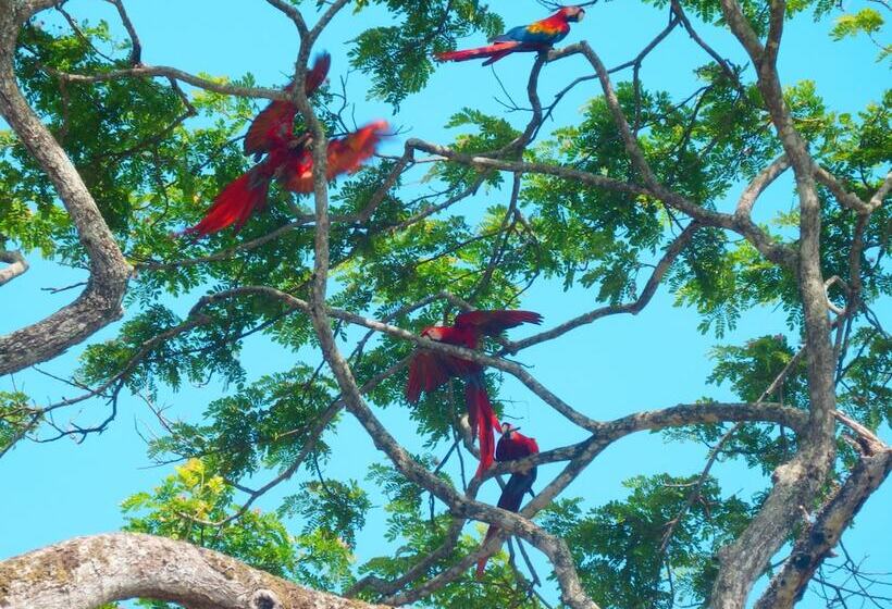 בית מלון כפרי El Jardin