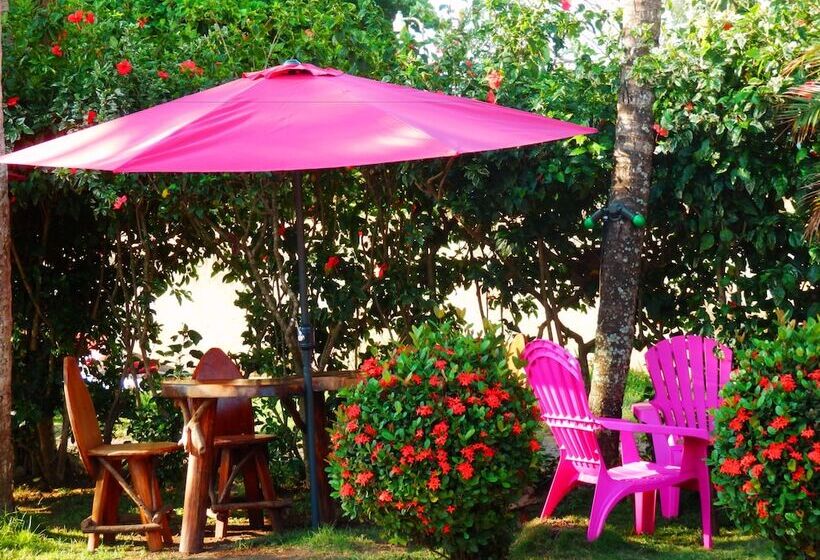 בית מלון כפרי El Jardin