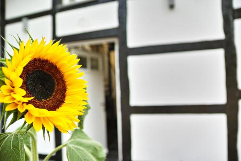 Kragemann Hotel & Vinothek