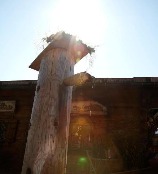 هتل Winklmoos Sonnenalm