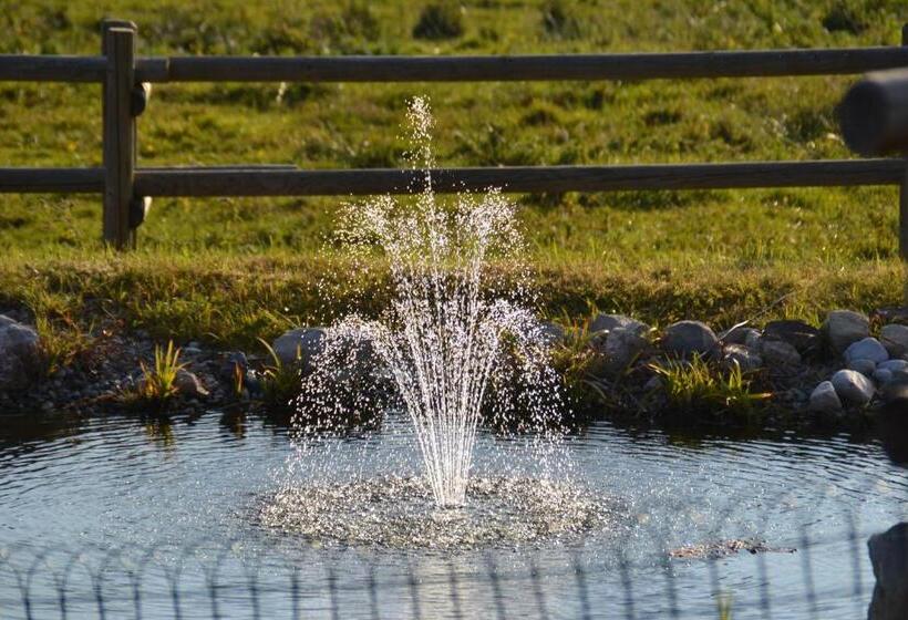 هتل Winklmoos Sonnenalm