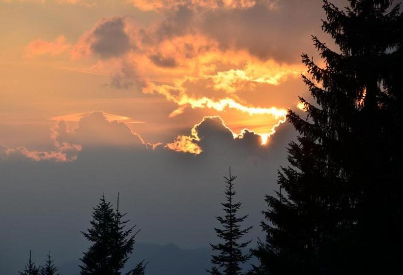 هتل Winklmoos Sonnenalm