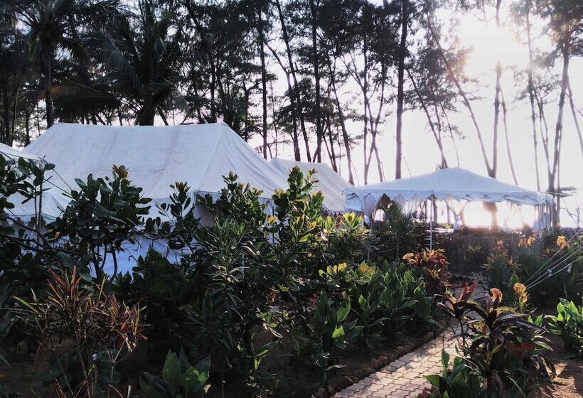 אתר נופש Cassoi By Ciarans