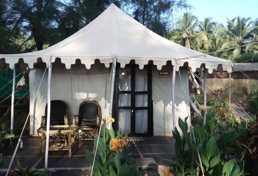 אתר נופש Cassoi By Ciarans