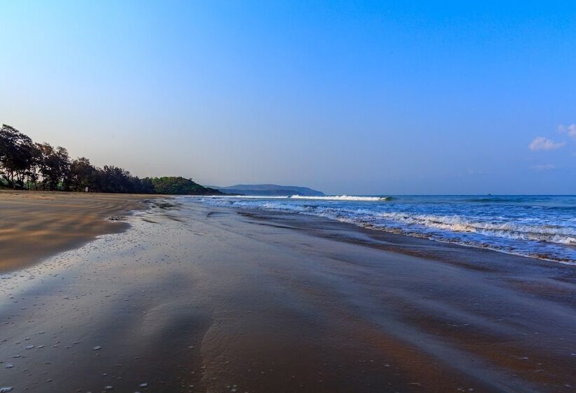 אתר נופש Cassoi By Ciarans