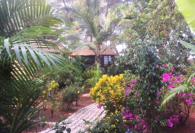 אתר נופש Cassoi By Ciarans