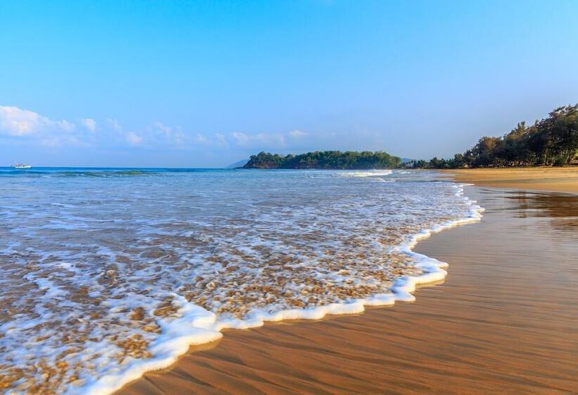 אתר נופש Cassoi By Ciarans