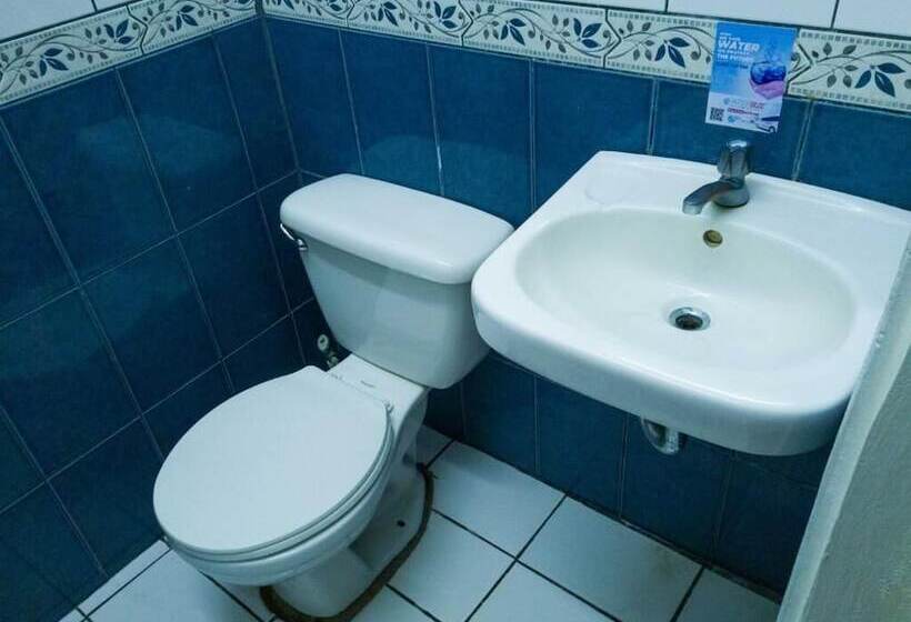 Общежитие Gaudys