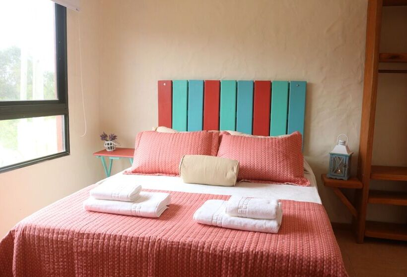 هاستل Posada De La Viuda