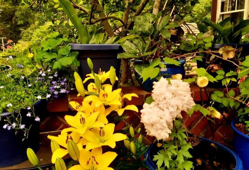 住宿加早餐  Barnett Lodge