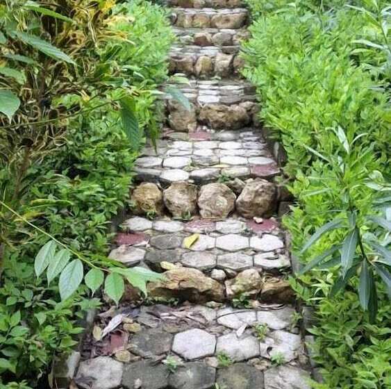 Bed and Breakfast Centro Bajo Hotel & Resto