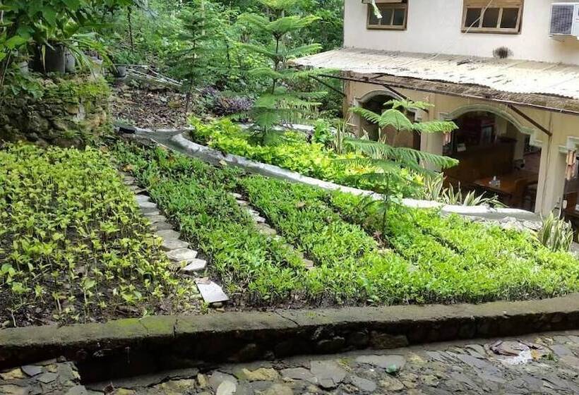 Bed and Breakfast Centro Bajo Hotel & Resto