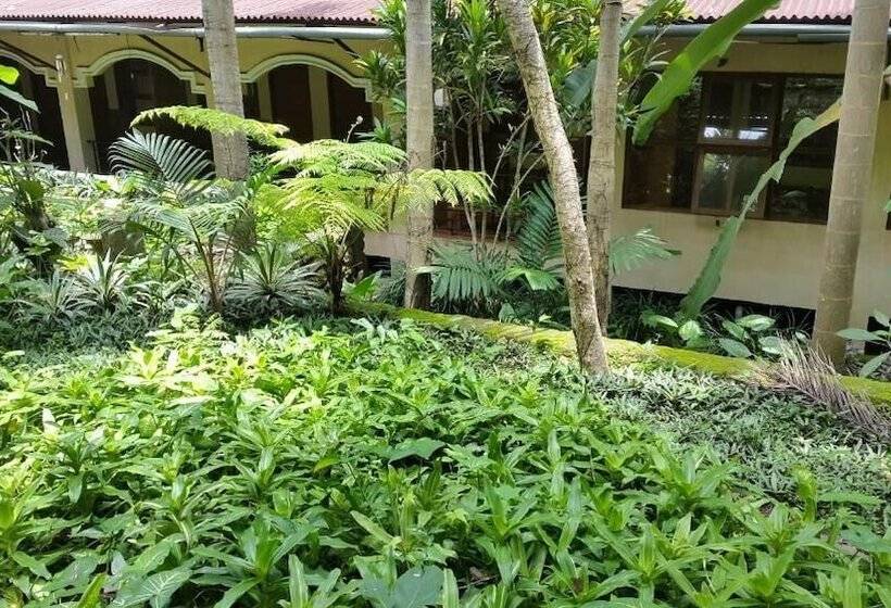 Bed and Breakfast Centro Bajo Hotel & Resto