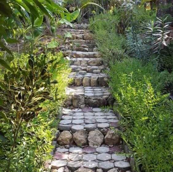 Bed and Breakfast Centro Bajo Hotel & Resto