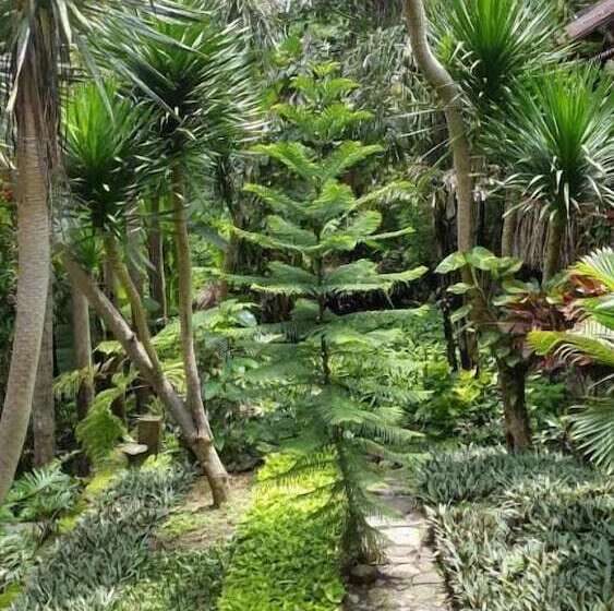 Bed and Breakfast Centro Bajo Hotel & Resto