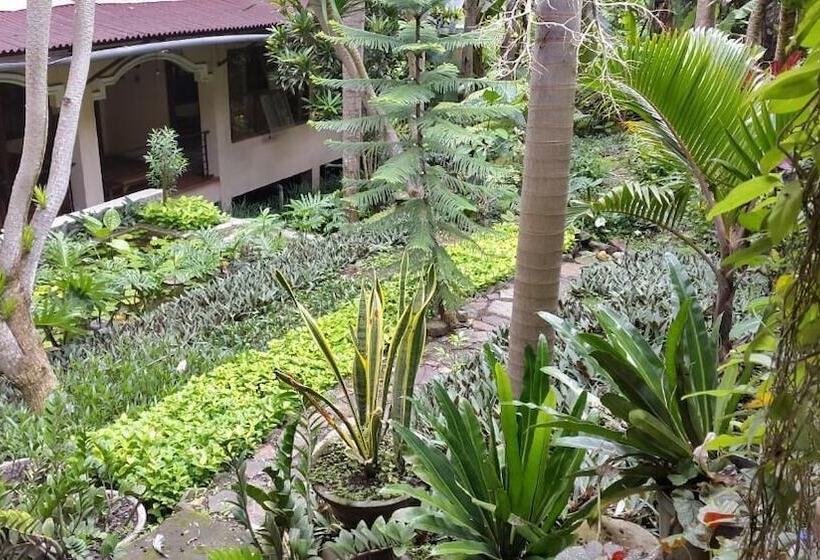 Bed and Breakfast Centro Bajo Hotel & Resto