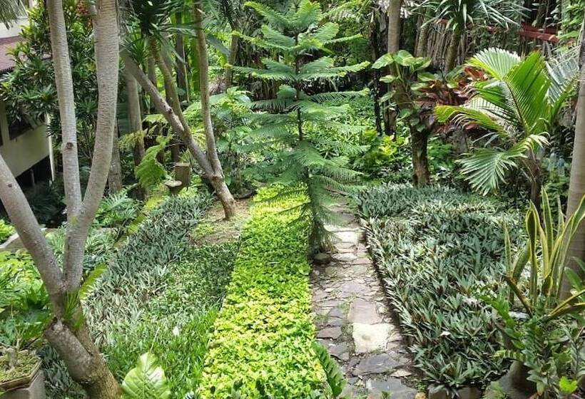 Bed and Breakfast Centro Bajo Hotel & Resto