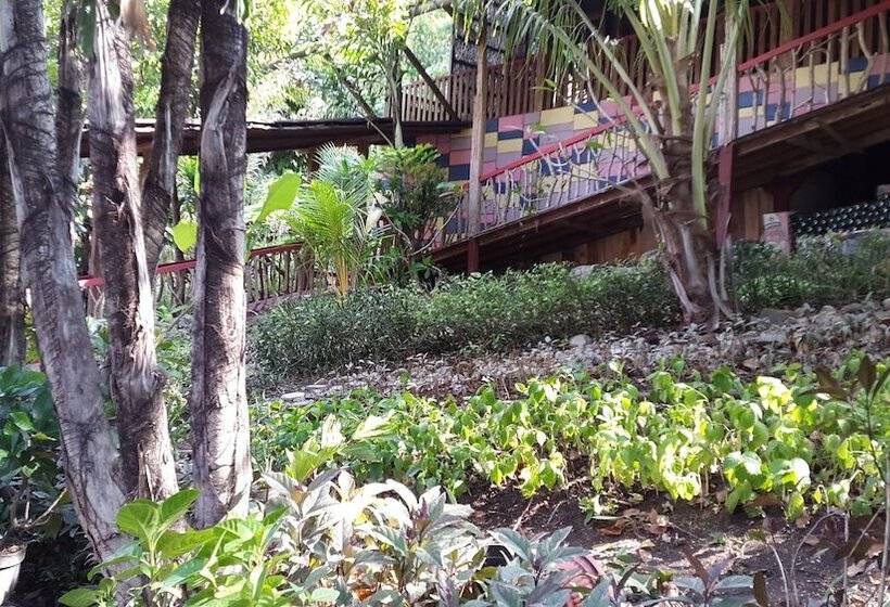 Bed and Breakfast Centro Bajo Hotel & Resto