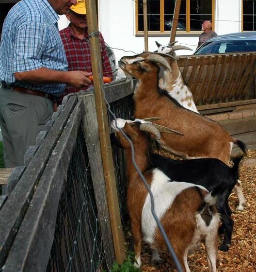 צימר Ferienhof Schöne Aussicht