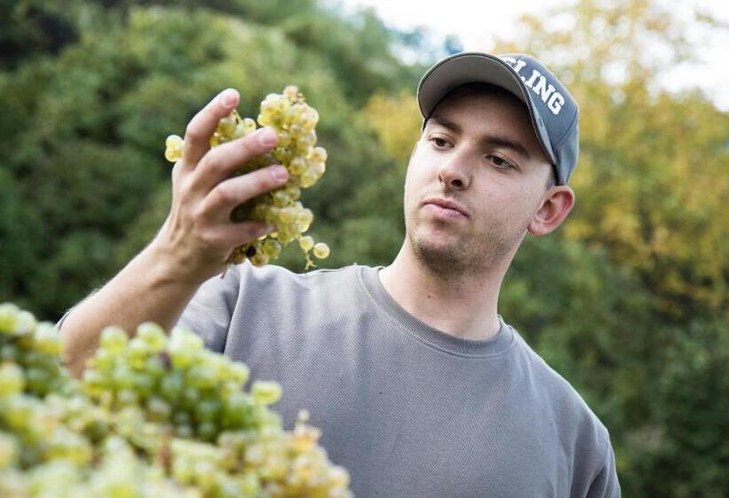 민박 Weinberghof Ilkerl Luf