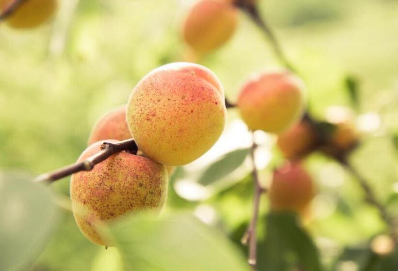 민박 Weinberghof Ilkerl Luf