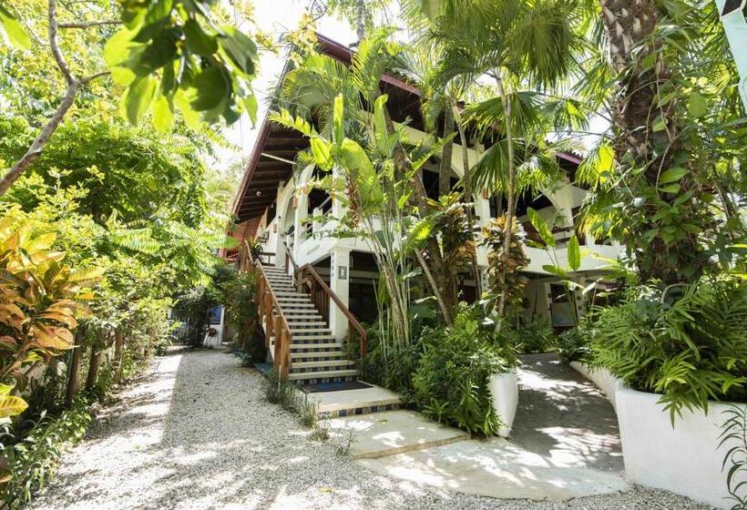 Casa Sueca Hotel   At The Beach