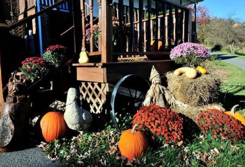 Haley Farm Bed & Breakfast