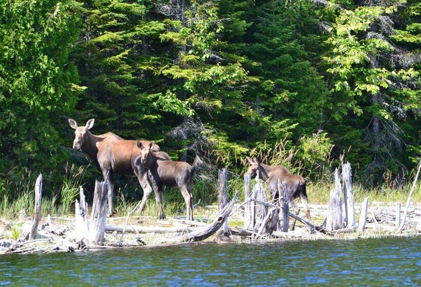 فندق Auberge La Tanière