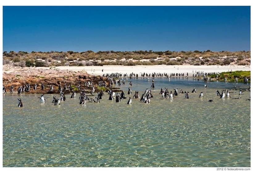 فندق Bahia Bustamante Lodge