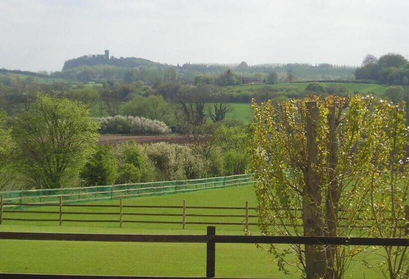 Отель Melbourne View