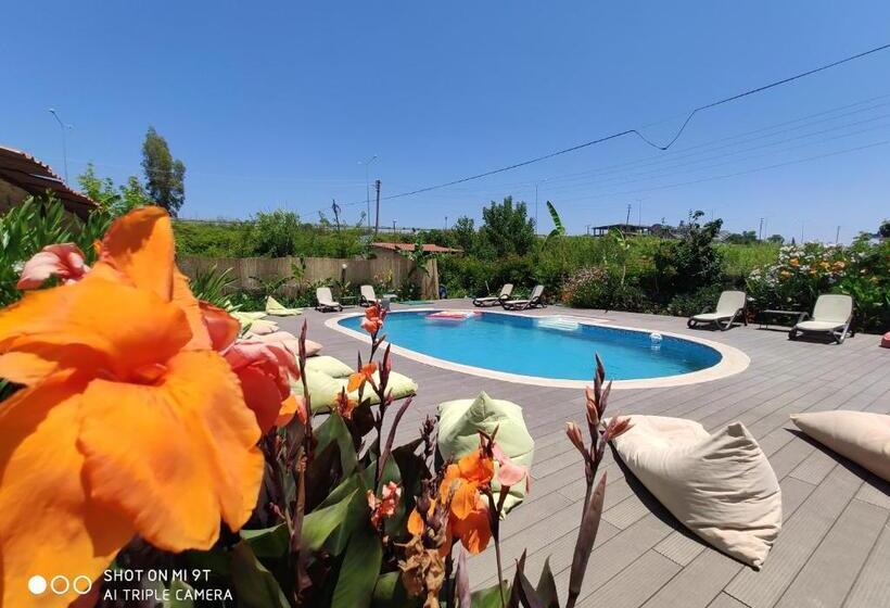 בית מלון כפרי Nostalgia World