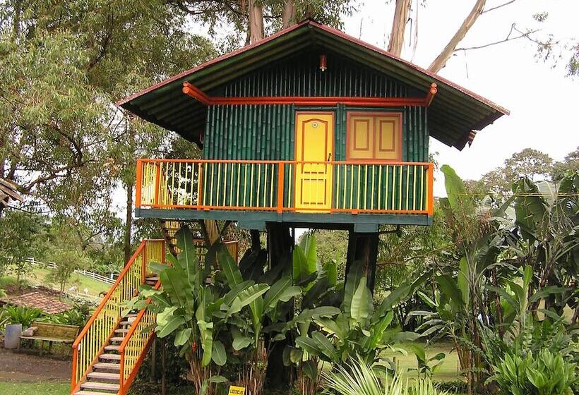 호텔 Karlaká Calarcá Quindio   Eje Cafetero