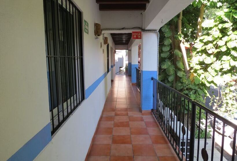 فندق Posada Comala