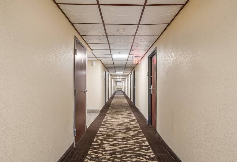 فندق Red Roof Inn Chicago  Alsip