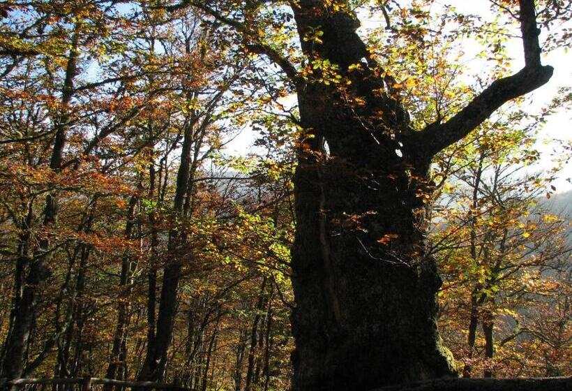 فندق Rural La Plaza