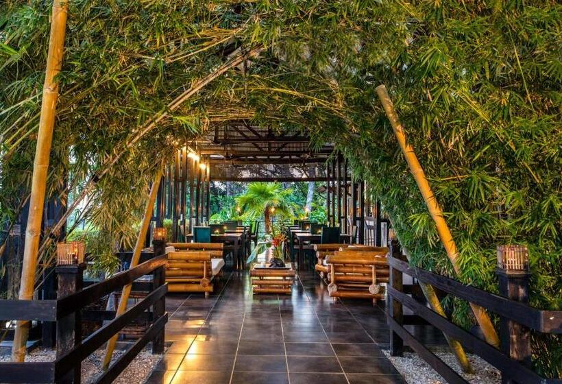 فندق Tiki Villas Rainforest Lodge   Adults Only