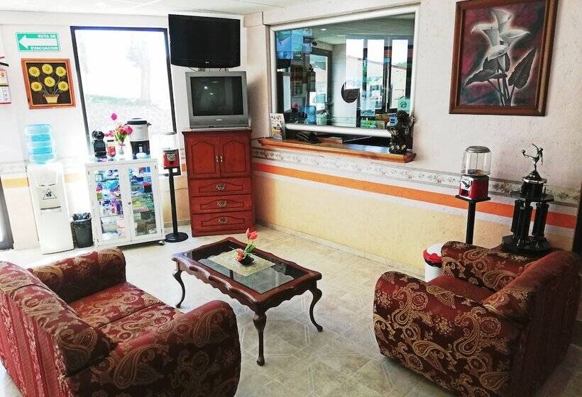 ホテル Villa De Las Flores