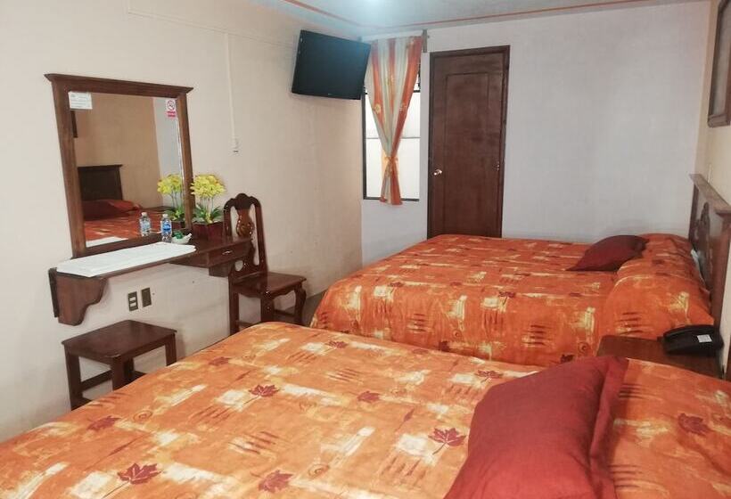 ホテル Villa De Las Flores