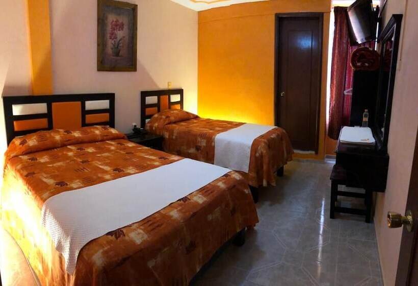 ホテル Villa De Las Flores