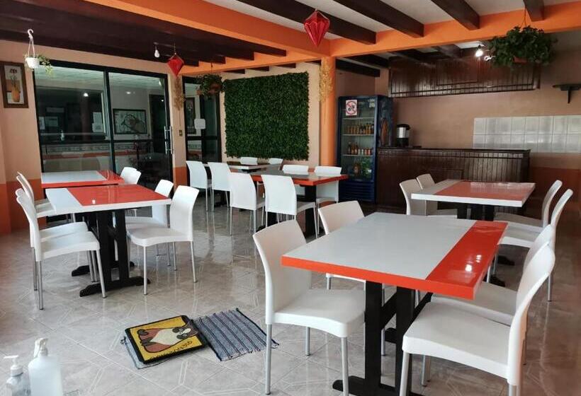 ホテル Villa De Las Flores