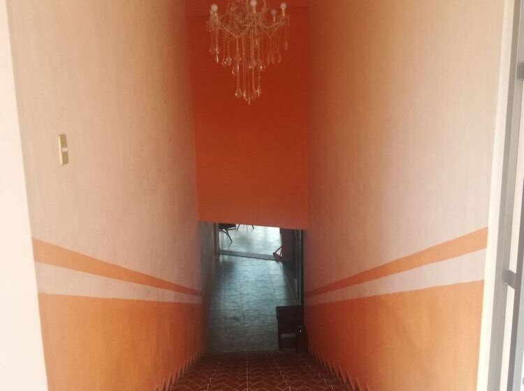 ホテル Villa De Las Flores