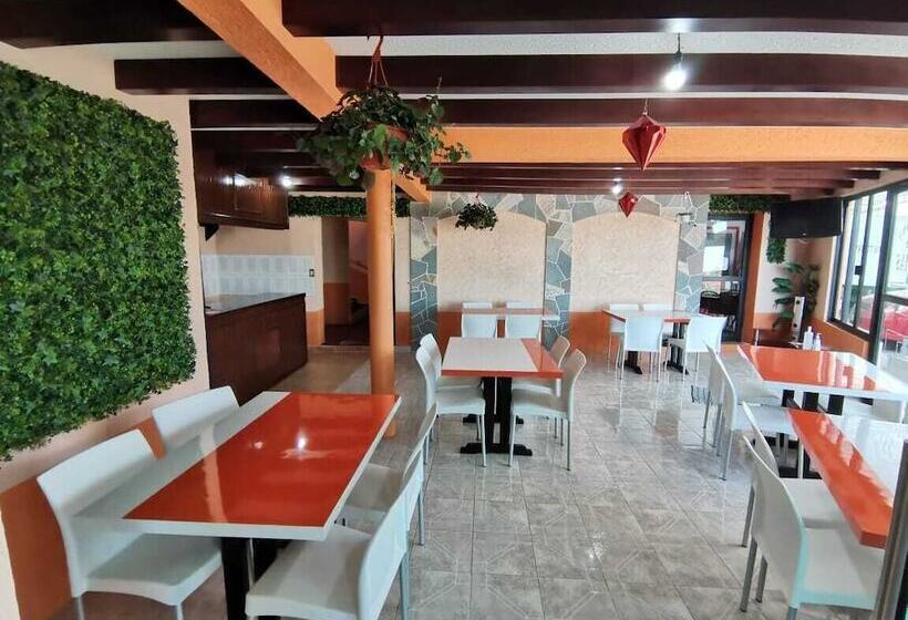 ホテル Villa De Las Flores