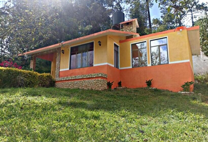 ホテル Villa De Las Flores