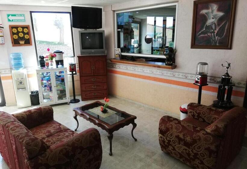 ホテル Villa De Las Flores