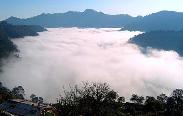 ホテル Villa De Las Flores